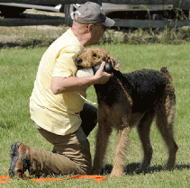 Louie Hunting Instinct Test